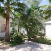Due edifici bianchi con porticati, circondati da palme e alberi.